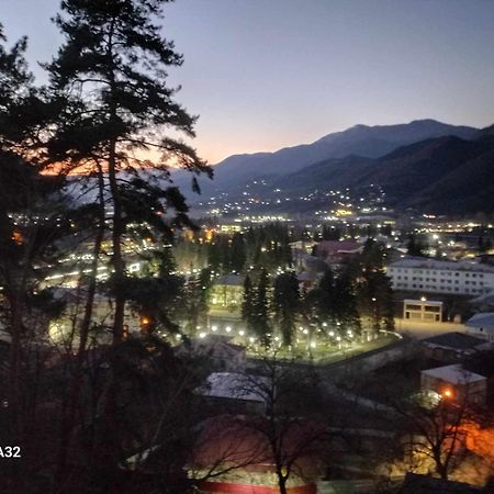 Brotseulebi Otel Ambrolauri Dış mekan fotoğraf