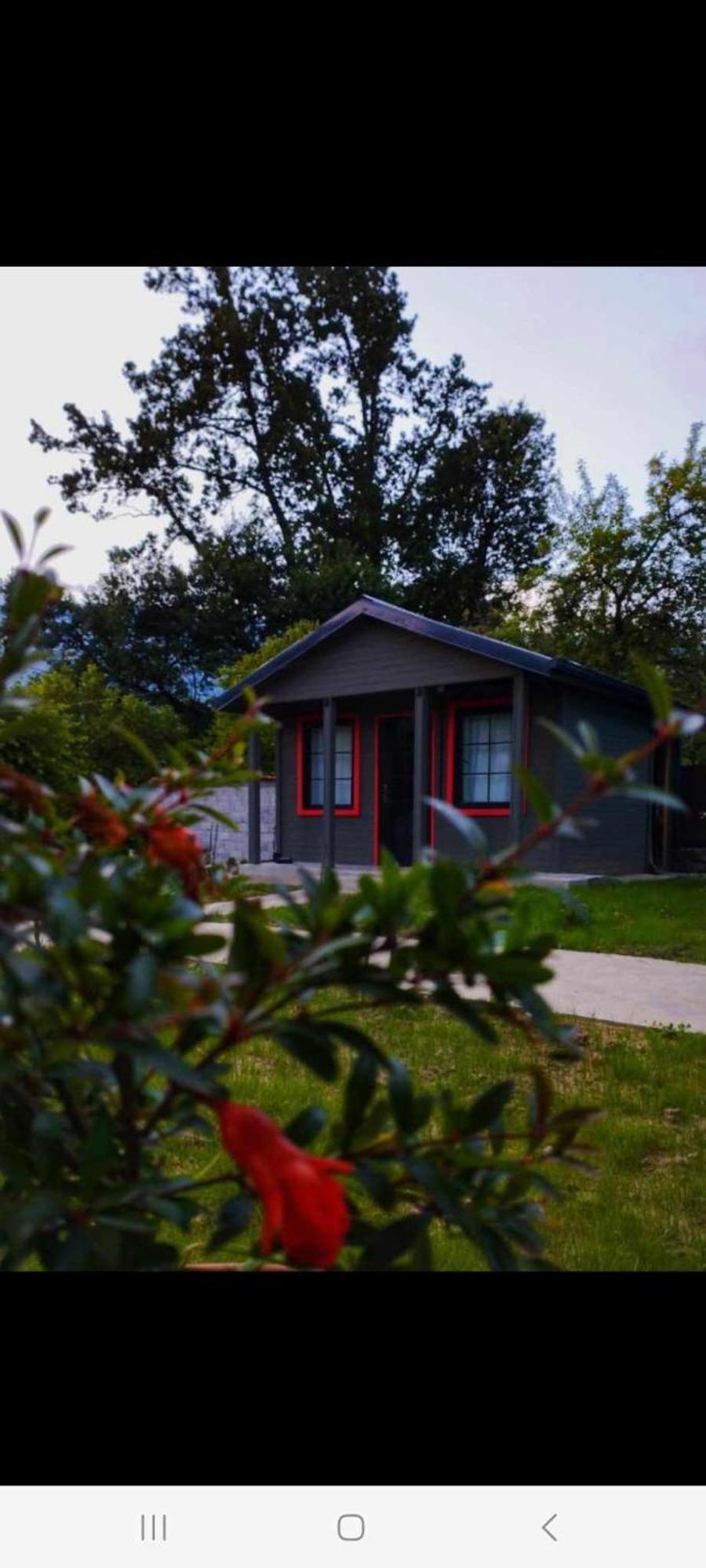 Brotseulebi Otel Ambrolauri Dış mekan fotoğraf